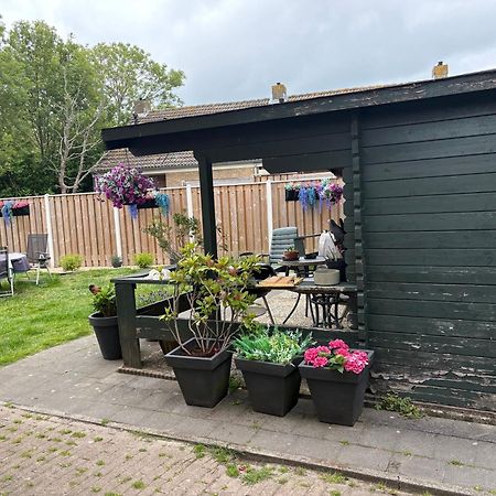 Apartament La Casa Aan Zee Ellemeet Zewnętrze zdjęcie