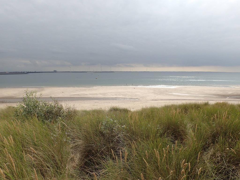 Apartament La Casa Aan Zee Ellemeet Zewnętrze zdjęcie