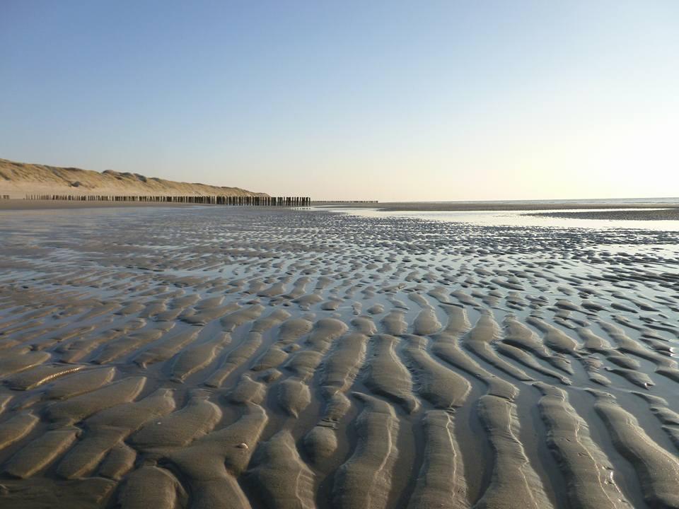 Apartament La Casa Aan Zee Ellemeet Zewnętrze zdjęcie