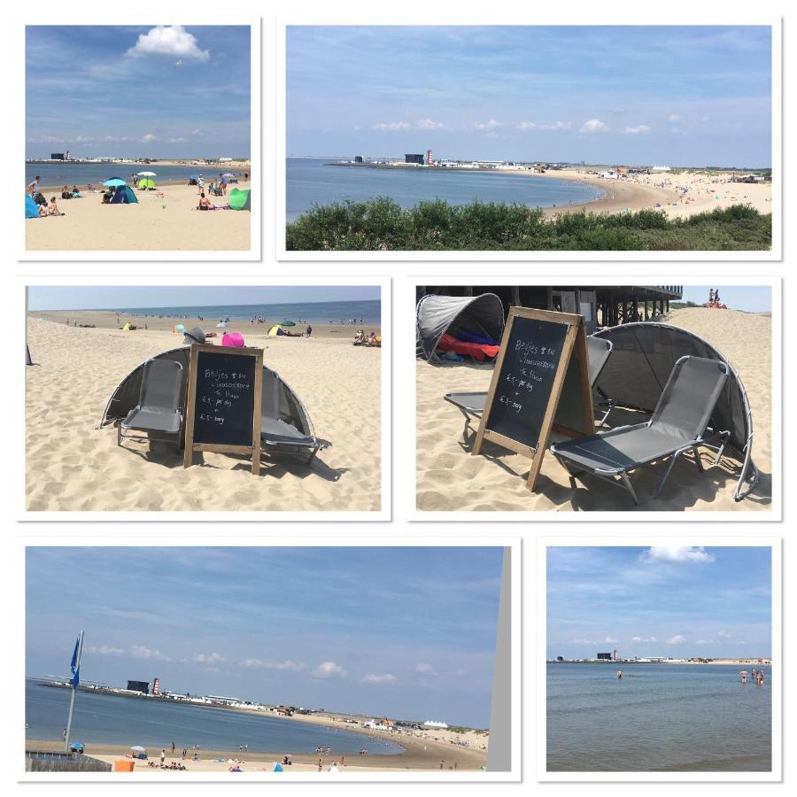 Apartament La Casa Aan Zee Ellemeet Zewnętrze zdjęcie